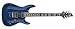 Schecter C1 Plus (Black Cherry)