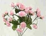 Mini Rose Bush-Pink