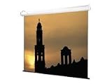 Draper Luma - Projection screen - 1:1 - High Contrast Grey