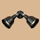 Thomas Black Two Light Outdoor Spotlight