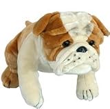 18 Bull Dog