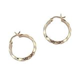Image of 9ct Twisted Tube Creole Earrings