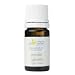 ���B�E�A���[���@�G�b�Z���V�����I�C���E���������@�[�x�i2ml