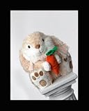 Carrot Bunny 37cm