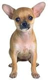Eigenschaften Rosenau24  / Kühlschrankmagnet Chihuahua Tan Chihuahua