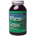 Search : Wheat Grass Powder Powder 10 oz