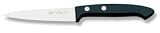 Review Sagetra  / Sanelli 324410 Paring Knife 10 Cm. (4