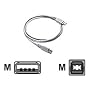 HP Hi-Speed USB Cable a-b 6' Q6264A