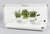 Herb Pot Trio