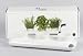 Herb Pot Trio