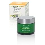 Andalou Naturals Pumpkin Honey Glycolic Mask (1.7 OZ)
