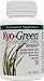 Kyo-Green Tablets by Kyolic 180 Tablets