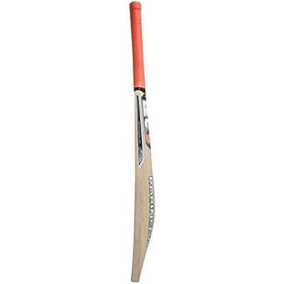 RS Robinson Special English Willow Bat (Short Handle)