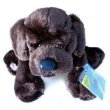 Webkinz Chocolate Lab & Black Lab Set