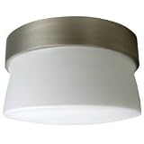 Buy American Fluorescent ARMF1F13SNECT Aria Mini Flush Indoor Outdoor Fixture, Satin... by American Fluorescent