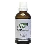 Herbal Formula EaseSure - Supports pet brain function & routine nervous system health for Dogs & Cats