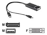 HP Displayport To Dual Link Dvi Adaptor.