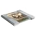 Kitchen & Housewares : Salter #1018 Backlit LCD 7 Pound Glass Scale