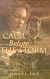 Calm Before the Storm (Crossings of Promise #2)