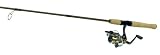 Quantum 6'6 Light Action Snapshot DS Spinning Combo