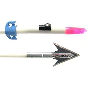 Buy Cajun Archery Carp With Ams Safety Slide