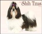 image link - - B002IS3WI4