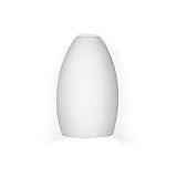Antigua Downlight Wall Sconce by A19, Inc.