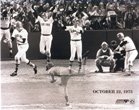 Boston Red Sox Carlton Fiske Home Run - B0002Y13VY