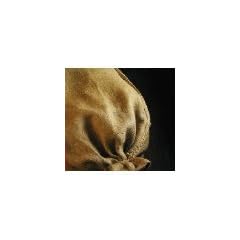 Noor Jutesack Gr��e XL, 100 kg, 2er Pack