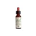 Bach Star of Bethlehem 20 ml