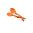 Rachael Ray Lazy Spoon and Ladle Set 2-pc.