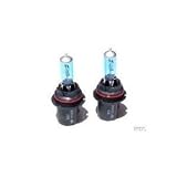 1985-1992 85 86 87 88 89 90 91 92 Nissan Sentra Stanza Xenon Super White Headlight... 