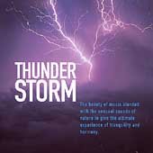 Thunderstorm by Anton Hughes