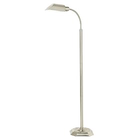OTT-LITE Alexander Energy Efficient Gooseneck Floor Lamp