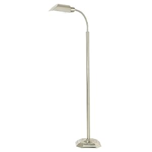 OTT-LITE Alexander Energy Efficient Gooseneck Floor Lamp