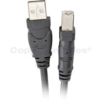 BLKF3U13316 - USB Type Cables