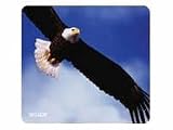 ALLSOP BALD EAGLE MOUSE PAD Long Life Great Strength Majestic Looks Non-Slip Base Confidence