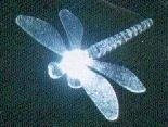 Dragonfly for Solar Lights