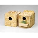 Love Bird Nest Box, Regular