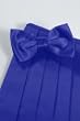 Bowtie and Cummerbund - Royal Blue