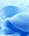 Sensationelles Eispulver Blue Ocean
