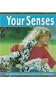 Your Senses (First Facts: Senses)