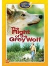 The Flight of the Grey Wolf  (The Wonderful World of Disney)