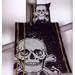 Totenkopf Bettwäsche Linon Your Best Young Collection schwarz 80x80 cm 135 x 200 cm