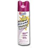 Radiator Specialty 19Oz Ammonia Free Gls Cleaner GC3