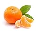 CUTIES ORANGES CALIFORNIA GROWN CLEMENTINES FRESH FRUIT PRODUCE 5 POUNDS
