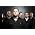 Vignette de MercyMe