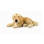 18" AKC Golden Retriever
