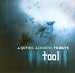 A Gothic Acoustic Tribute to Tool