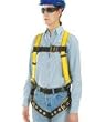 Workman Twin Buckle Standard Safety Harness